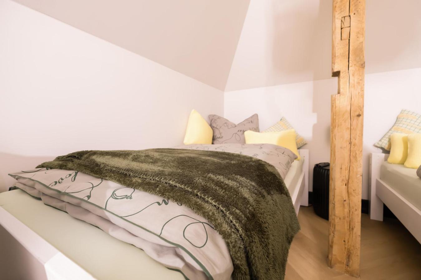 Aussergewoehnliche Ferienwohnung Stadtvilla Plauen Exteriör bild