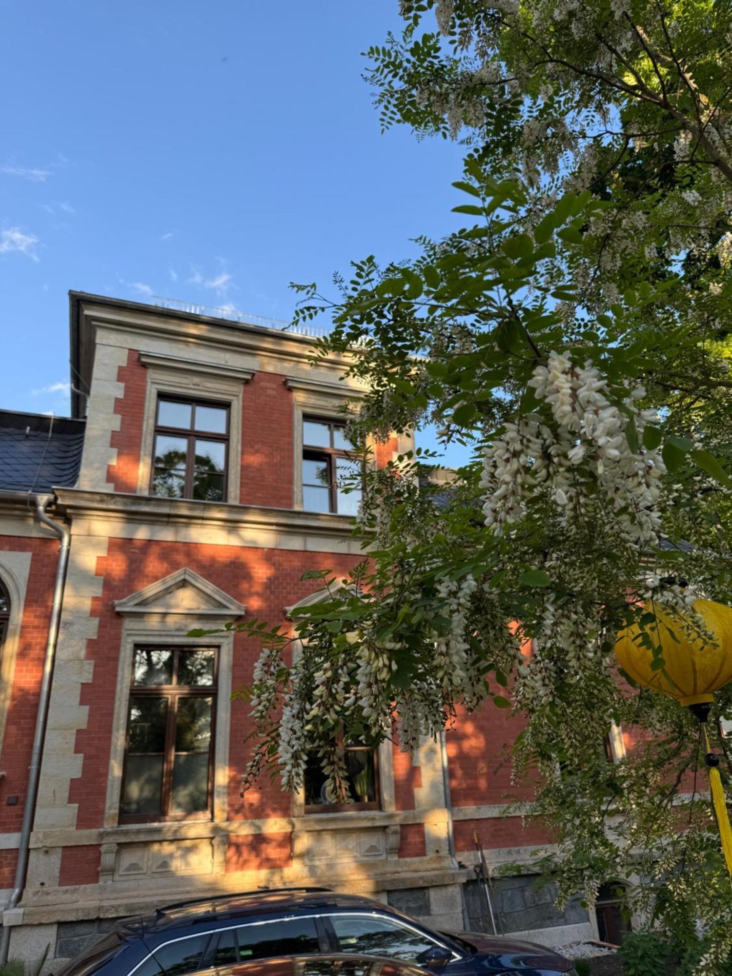 Aussergewoehnliche Ferienwohnung Stadtvilla Plauen Exteriör bild